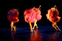 Teatro Comunale di Vicenza MOMIX