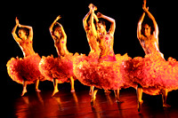 Teatro Comunale di Vicenza MOMIX