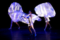 Teatro Comunale di Vicenza MOMIX